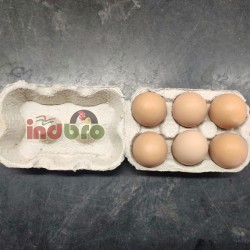 Advanced Nutrition Indbro Brown Eggs 6 Pack